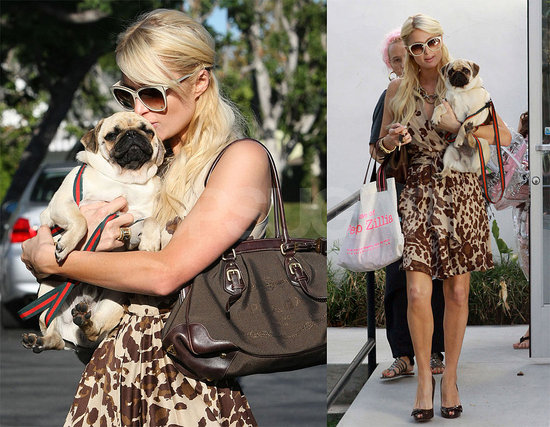 paris hilton pug mugsy