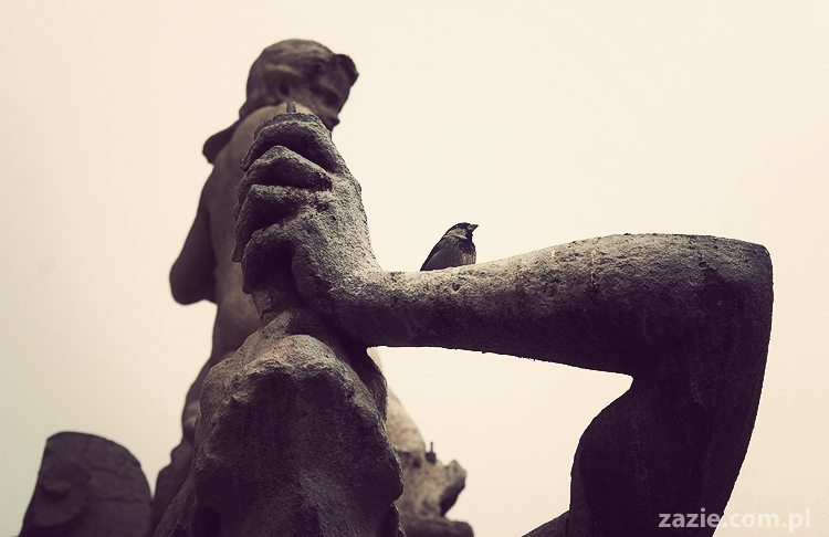 pocztówki z Trydentu postcards from Trento