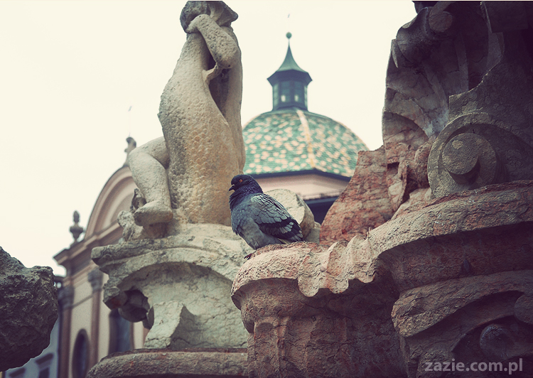 pocztówki z Trydentu postcards from Trento