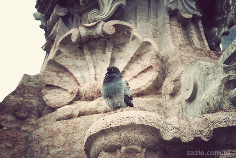 pocztówki z Trydentu postcards from Trento