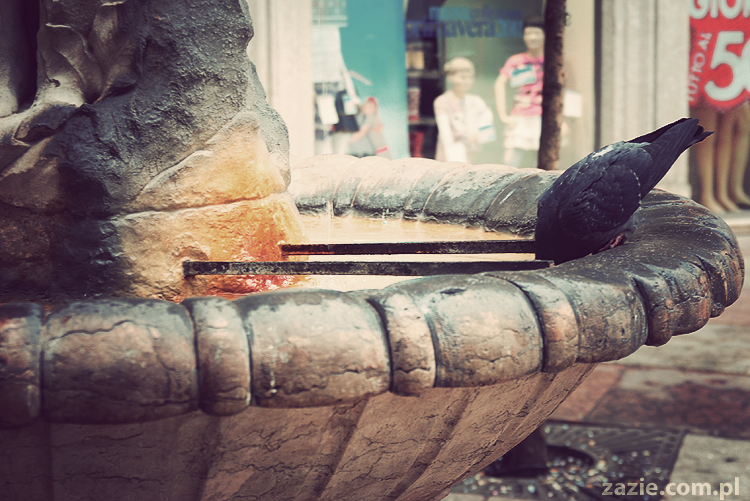 pocztówki z Trydentu postcards from Trento