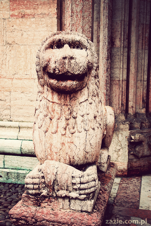 pocztówki z Trydentu postcards from Trento