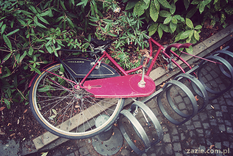 pocztówki z Trydentu postcards from Trento