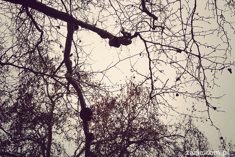 pocztówki z Trydentu postcards from Trento