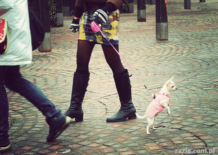 pocztówki z Trydentu postcards from Trento