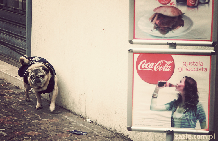 pocztówki z Trydentu postcards from Trento