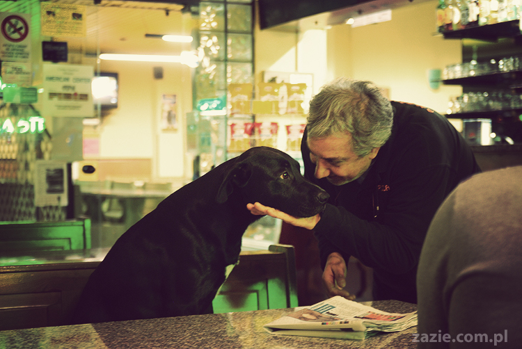 pocztówki z Trydentu postcards from Trento