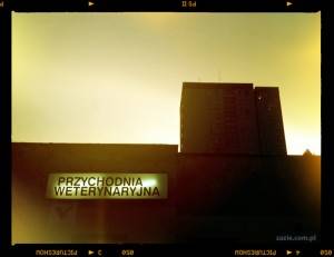 projekt 365 dni w obiektywie (14)