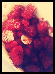 projekt 365 dni w obiektywie (7)