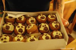 ochockie mopsy salonowe