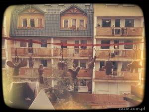 projekt 365 dni w obiektywie (2)