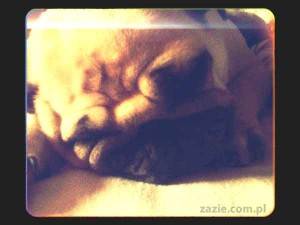 projekt 365 dni w obiektywie (6)