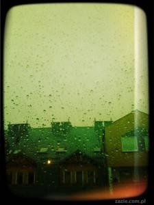 projekt 365 dni w obiektywie (8)