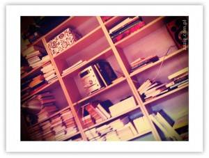 projekt 365 dni w obiektywie (16)