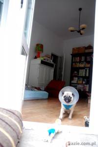 poranna kawa na północnym balkonie