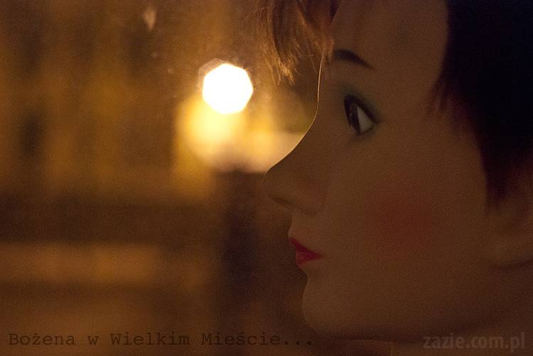 Bożena w Wielkim Mieście