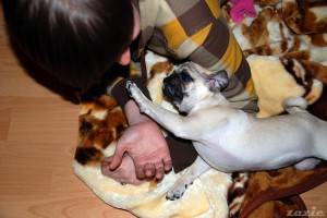 mopsie adhd w kilku odsłonach: