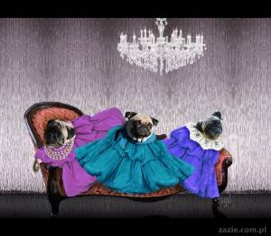 Bułeczka i Emeryt Sistars