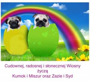 nie dajcie się zwariować świętom ;P