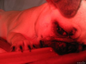 przepraszam, ale niestety muszę już iść spaaaać….