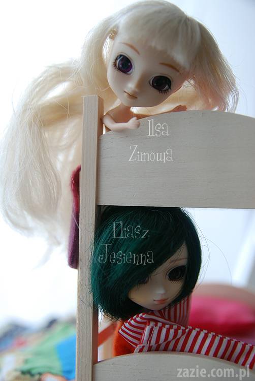 Little Pullip Swan & Dormouse