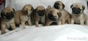 fajnie mieć rodzinę nie tylko na zdjęciu – powiedział Miszur