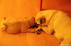 we are family, I’ve got my big sister with me!