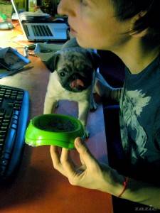 miszurik niechętnik grymaśnik.