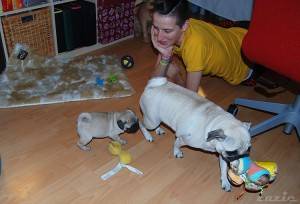 w naszym przedszkolu fajnie jest…