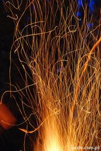 płonie ognisko w lesie, mops w ryju kiełbasę niesie