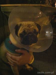 oko Miszura i dziura