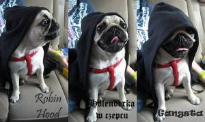 Trio z Belleville prezentuje: Dzień Grubego Dziecka