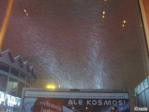 śnieżyca kawiarniano-zaokienna