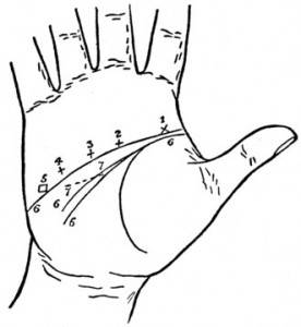 moja podwójna linia życia