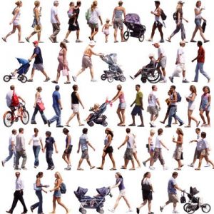 selekcja naturalna. sekcja neutralna.