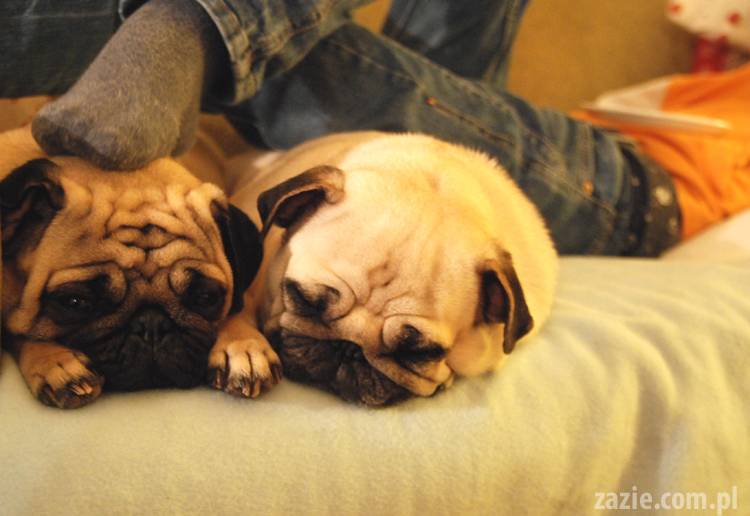 joanna_salyga_chustka_maria_cywinska_lumpiata_marianna_wybieralska_06