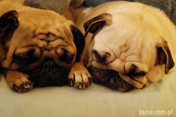 joanna_salyga_chustka_maria_cywinska_lumpiata_marianna_wybieralska_09