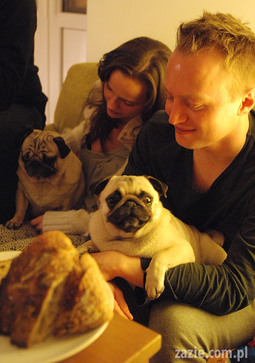 spotkanie mopsiarzy mopsy kumok miszur pajda bułka kromka balbinka klops hector leon moma mops pug pugs