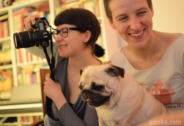 spotkanie mopsiarzy mopsy kumok miszur pajda bułka kromka balbinka klops hector leon moma mops pug pugs