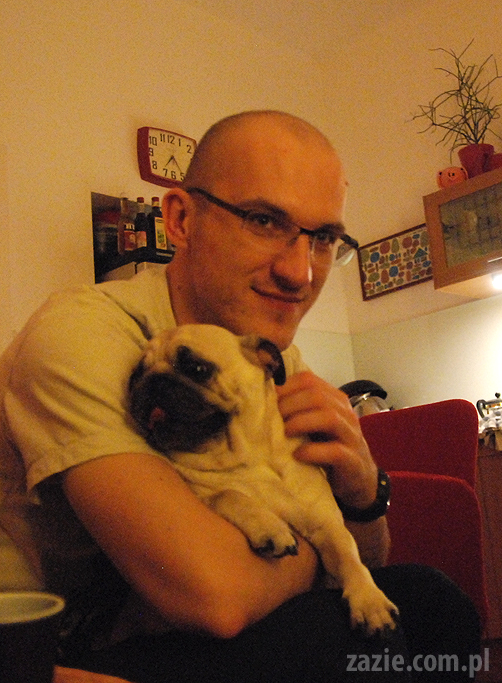 spotkanie mopsiarzy mopsy kumok miszur pajda bułka kromka balbinka klops hector leon moma mops pug pugs