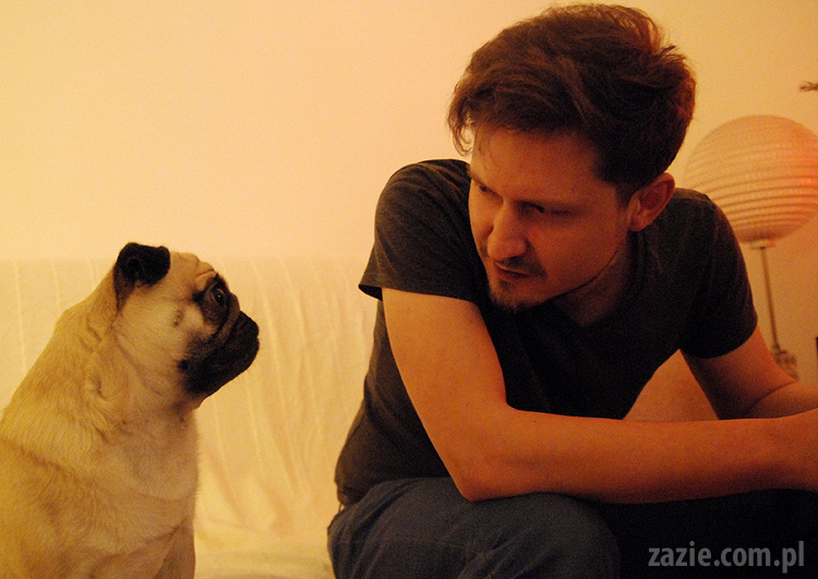 spotkanie mopsiarzy mopsy kumok miszur pajda bułka kromka balbinka klops hector leon moma mops pug pugs