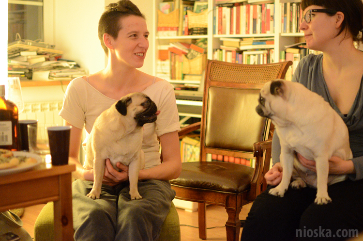 spotkanie mopsiarzy mopsy kumok miszur pajda bułka kromka balbinka klops hector leon moma mops pug pugs