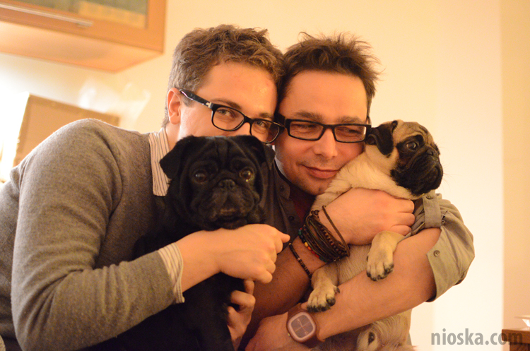 spotkanie mopsiarzy mopsy kumok miszur pajda bułka kromka balbinka klops hector leon moma mops pug pugs