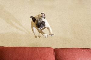 monotonne ujęcia, nudni bohaterowie i słaba akcja