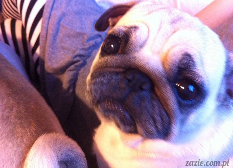 lalki_mirelli_von_chrupek_09 Kumoczek kocha lalki