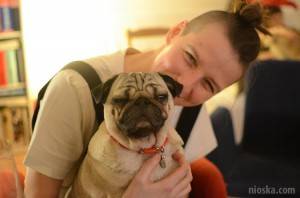 kiedy mówimy, że chodzi o mopsy, tak naprawdę chodzi nam tylko o żarcie…