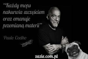 [FILMIK!] na brzegu sofy beddinge usiadło i bekało – czyli: