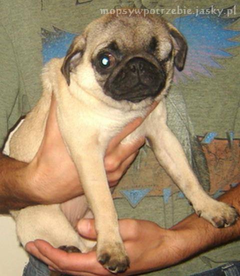 380671_424099197606914_198288830187953_1902338_1298316370_n