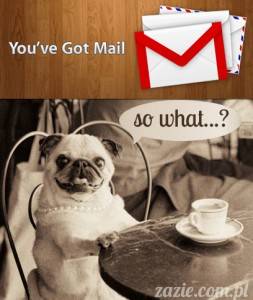 you’ve got… MESS!