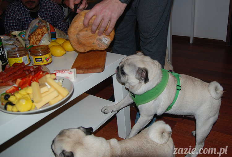 Grupa Ochoczo: Sputnik Studio, Nioska, Syd Breslauer, Zazie & Latający Mops